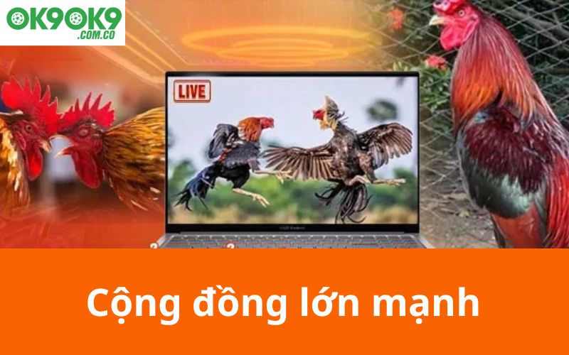 Cộng đồng lớn mạnh