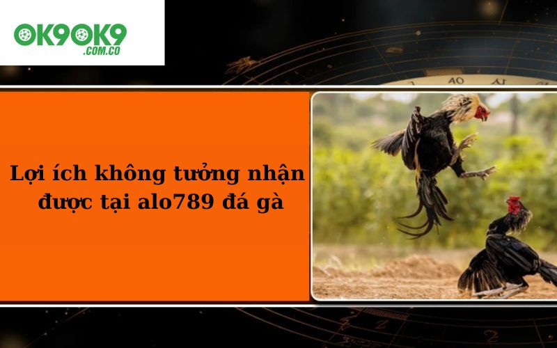 Lợi ích không tưởng nhận được tại alo789 đá gà