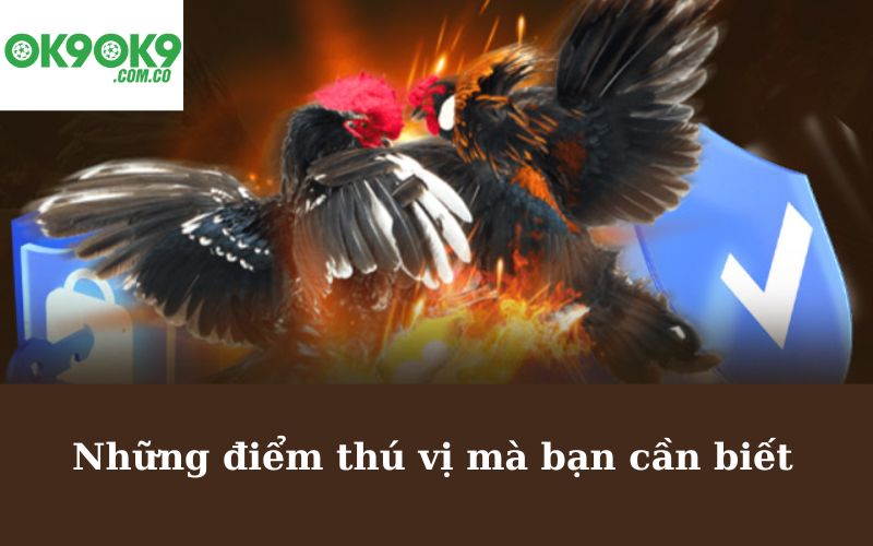 Những điểm thú vị mà bạn cần biết